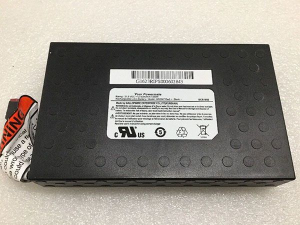 GLW Replacement Battery GR2247