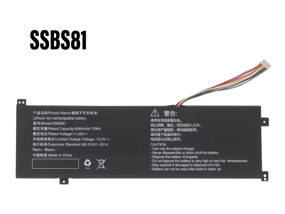 SSBS81